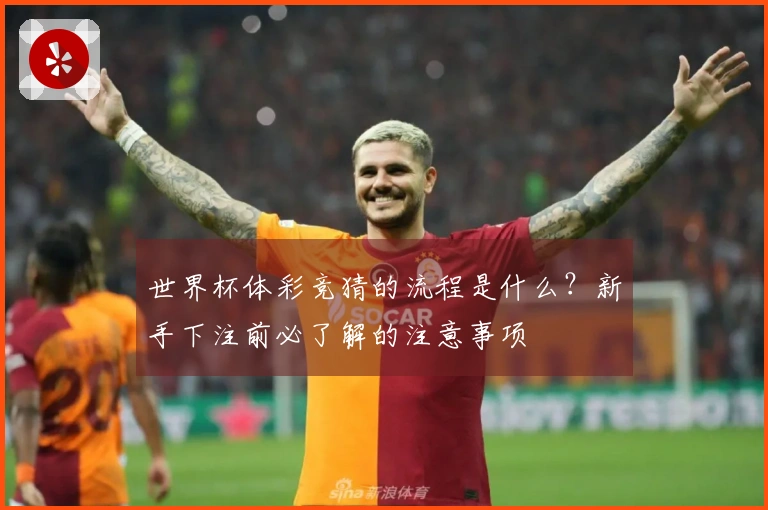 世界杯体彩竞猜的流程是什么?新手下注前必了解的注意事项